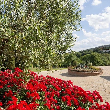 アレッツォ Poggio Pellicciaiaヴィラ エクステリア 写真